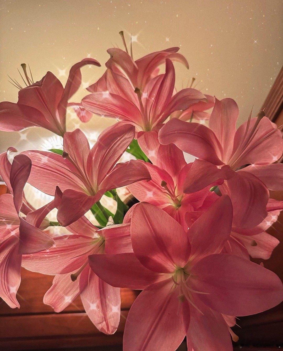 1月28日涨停复盘黄金有色（主线）3板：湖南黄金、招金黄金、四川黄金4板：中国黄