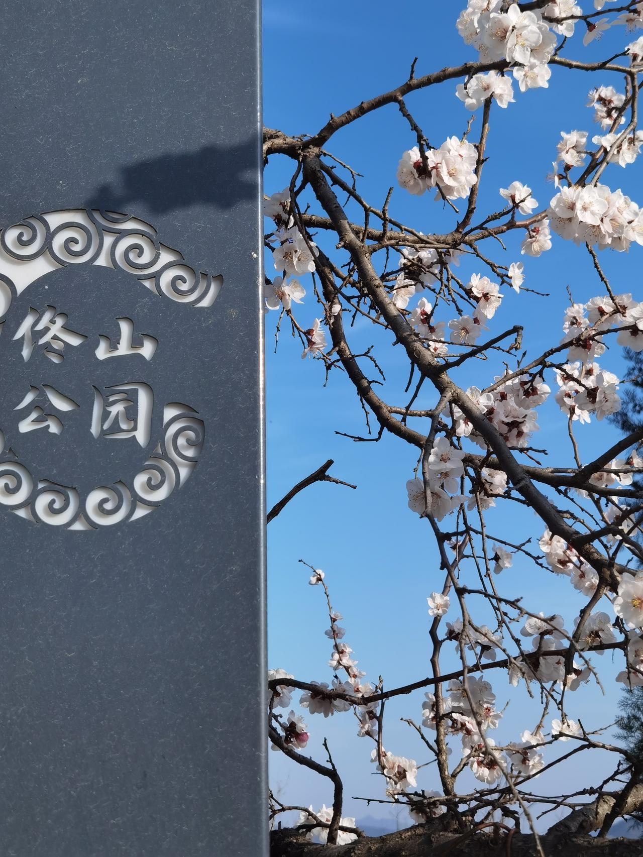 承德是个山城，很多公园都建在山上，曰山体公园。

环绕承德市区的四周山上基本都有