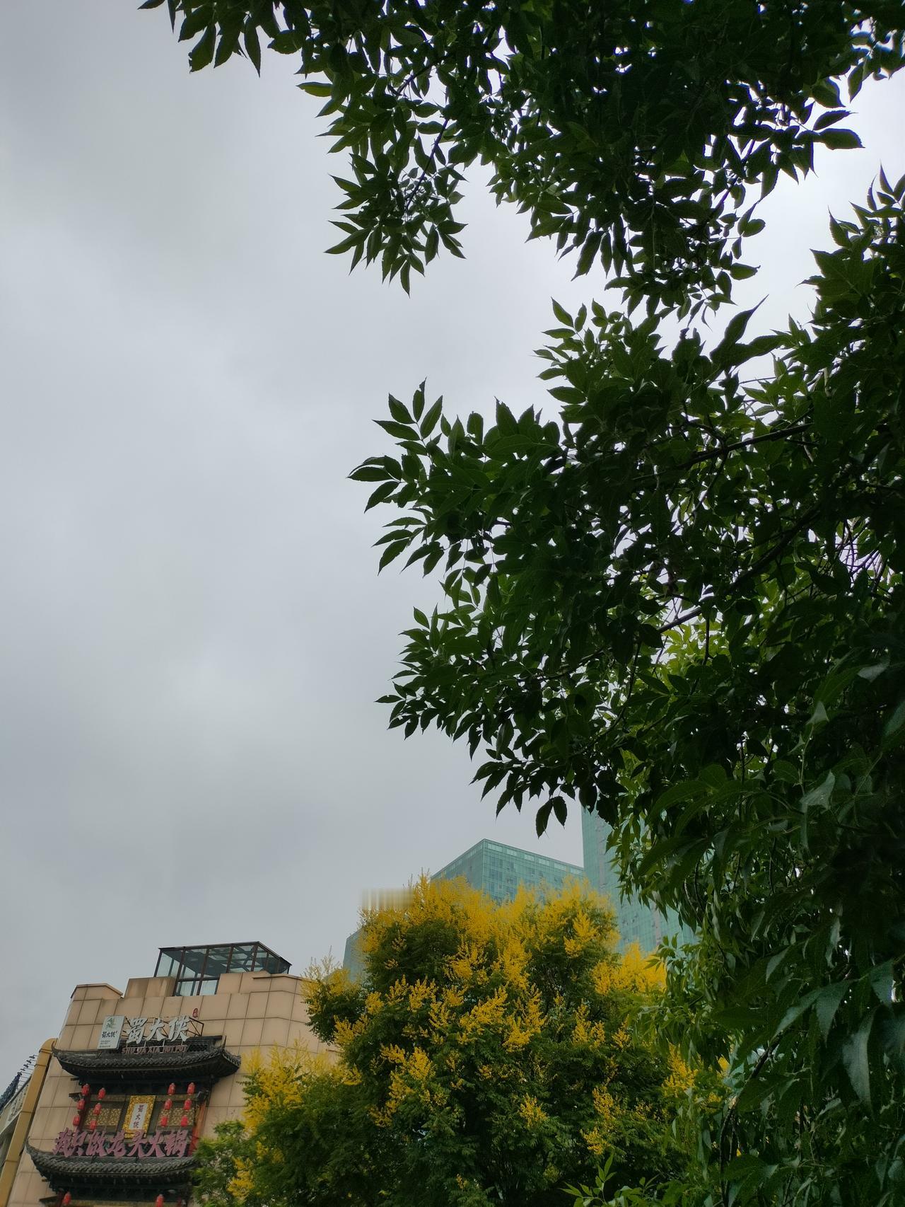 昼长至盛夏始