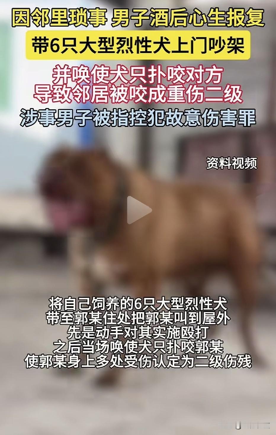 带6只烈性犬上门报仇！”安徽濉溪县四铺镇，因犬只随地大小便等邻里琐事，男子酒后心