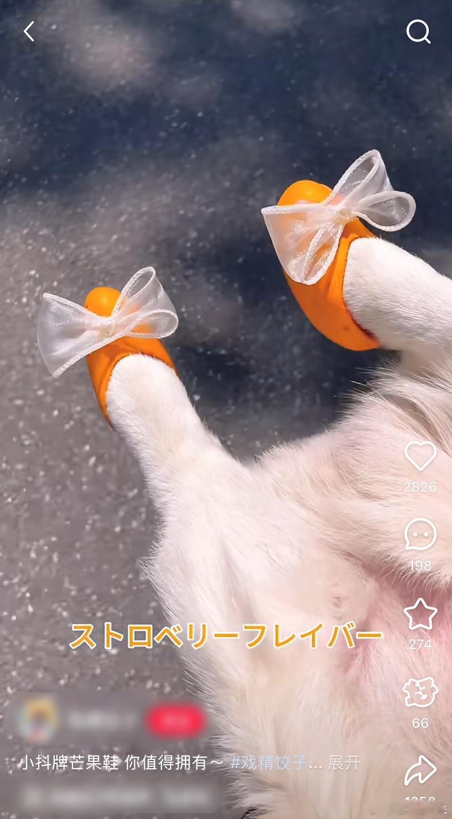 一个芒果炸出多少兴趣邪修 又是拿捏住我们的笑点了呀，看来这个芒果的做法还真的是挺