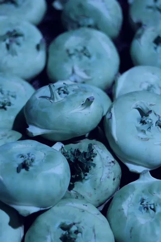 四季养生，结合内脏与四季、颜色、禁宜、味性、情绪以及生克规律来调理，着实大有益处