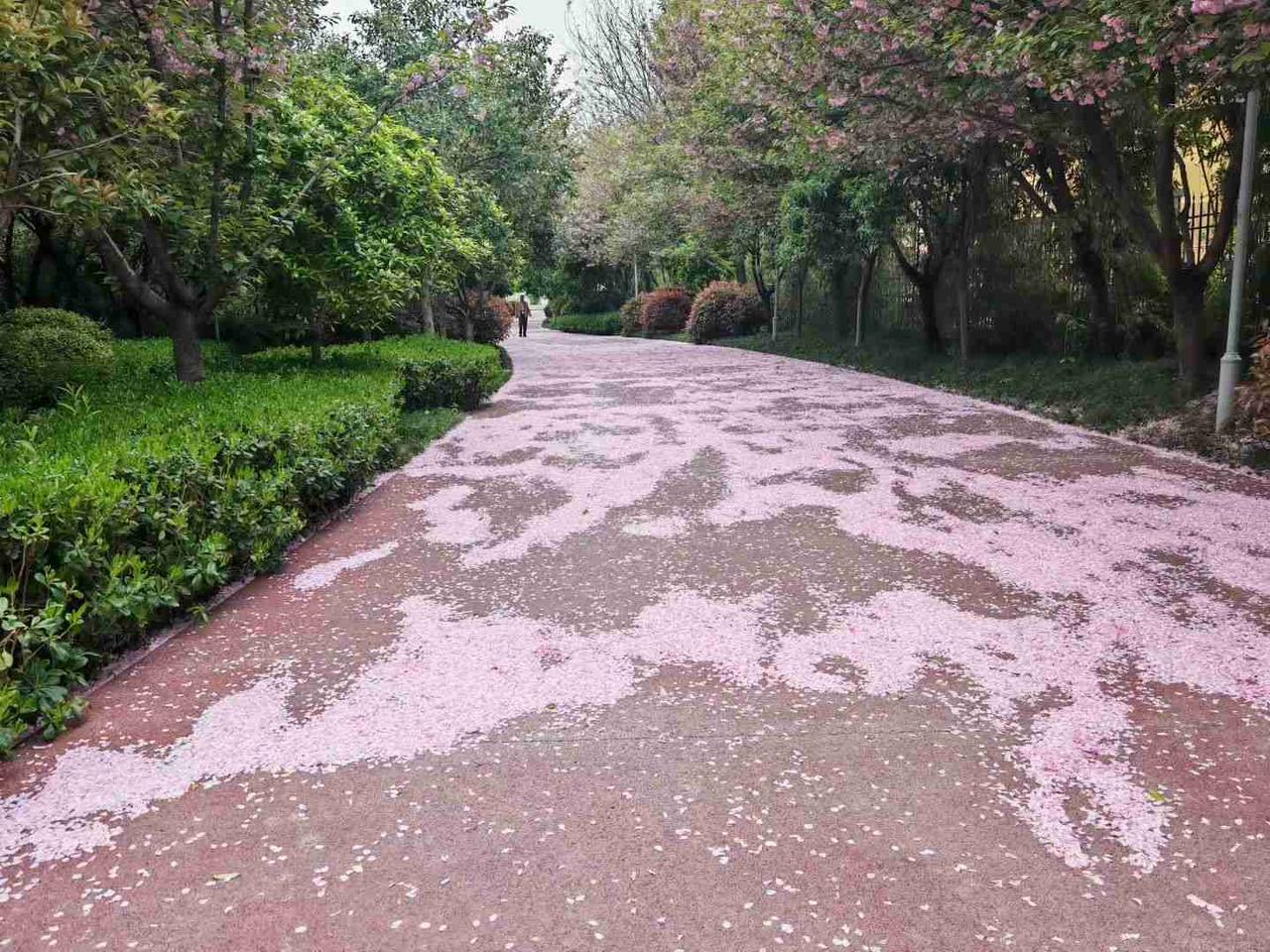我的今日状态：😁轻松愉快
我这里的天气：☀️晴天
