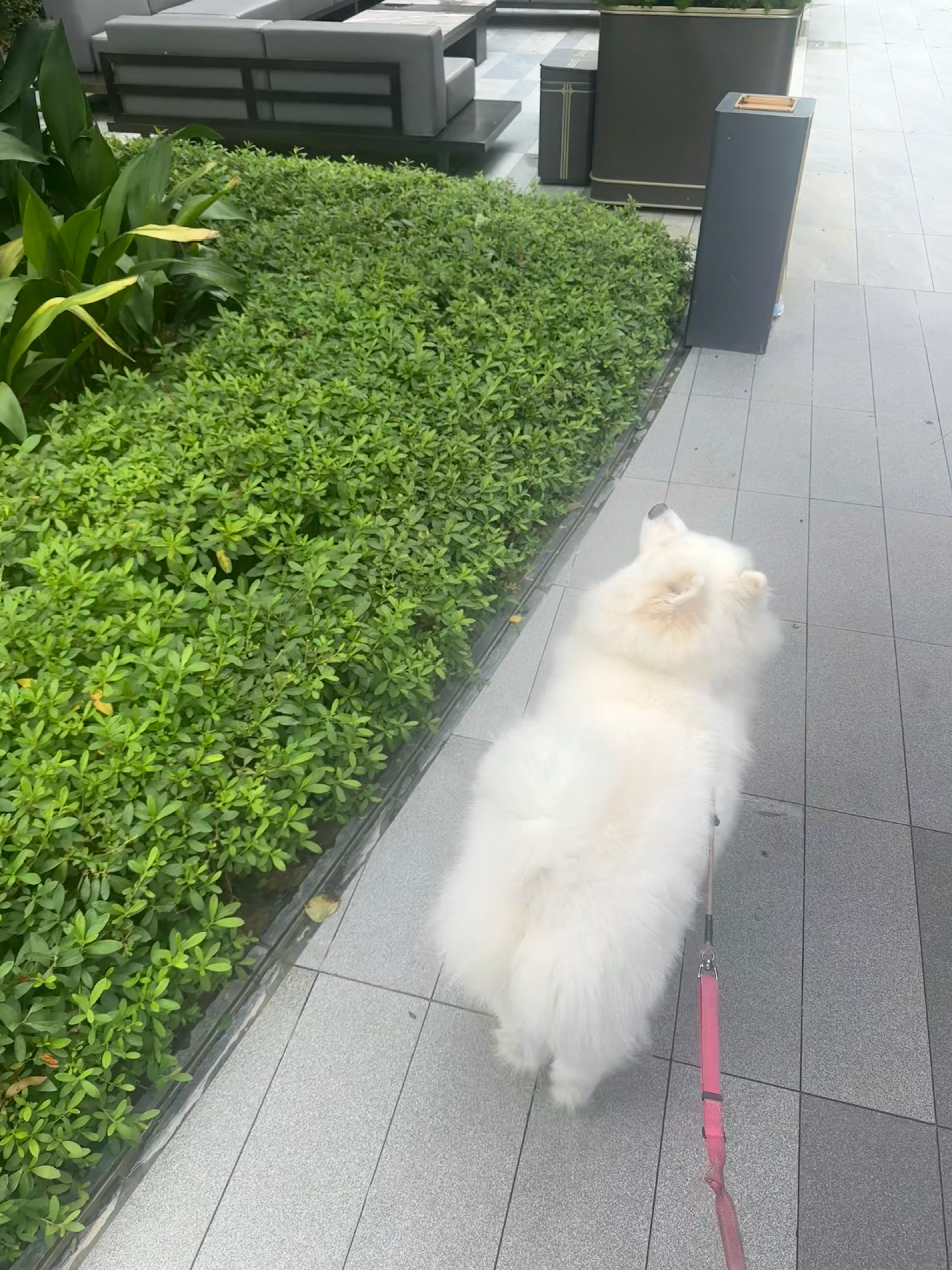 要下雨了！赶紧回去收衣服（其实只有身上这一件衣服……） ​​​
