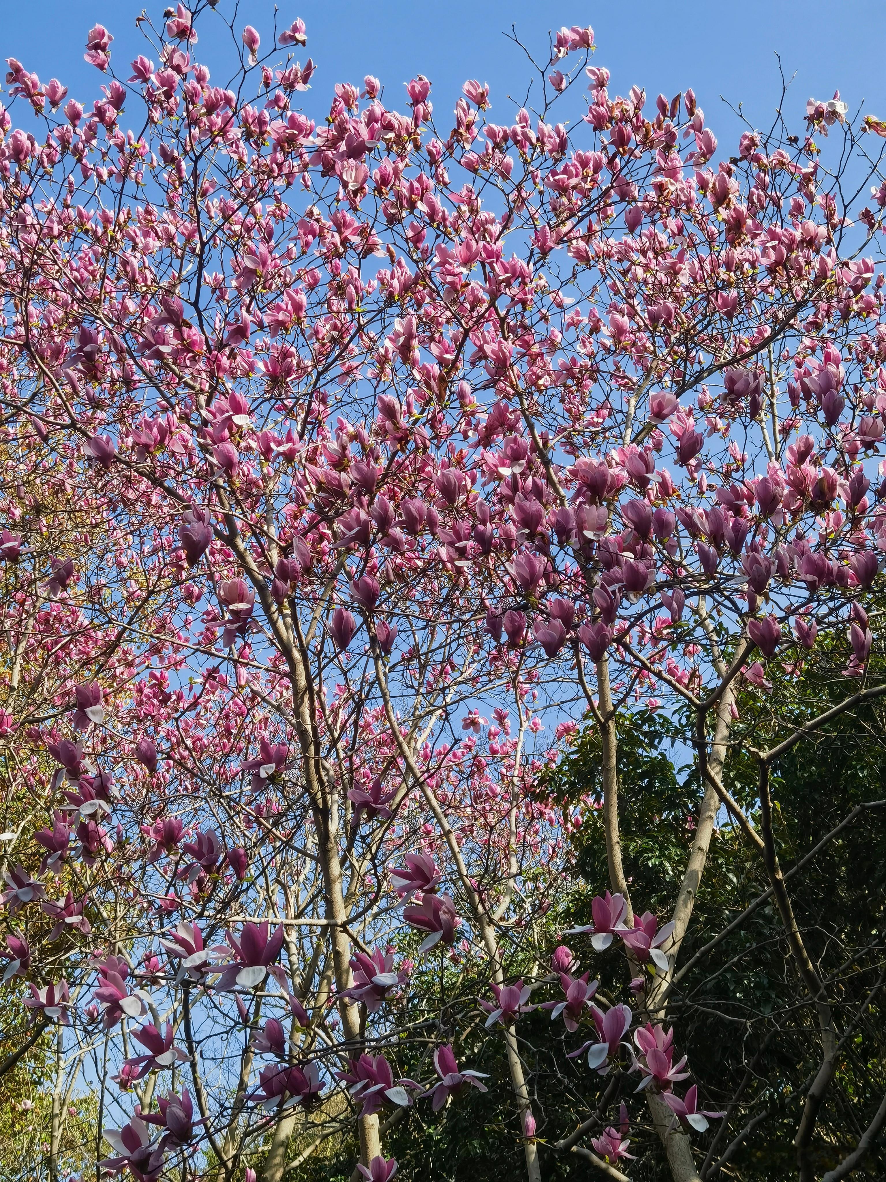 大家早！周末还是有点利好！一个是，不久后将深入实施提振消费专项行动，制定实施扩大