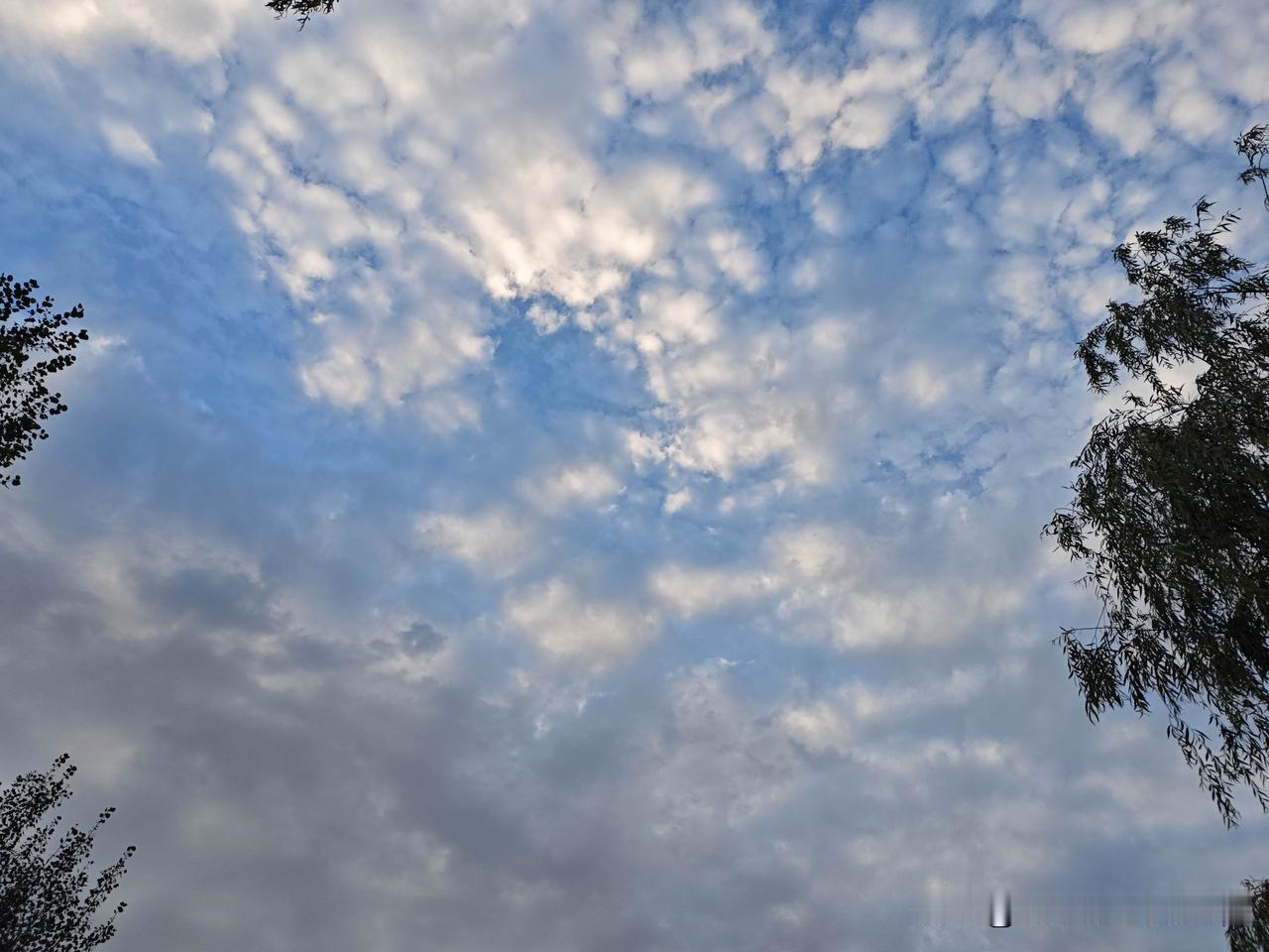 傍晚漫步，邂逅温柔云天

      傍晚闲暇时分，出门信步走走，抬眼间，便被那