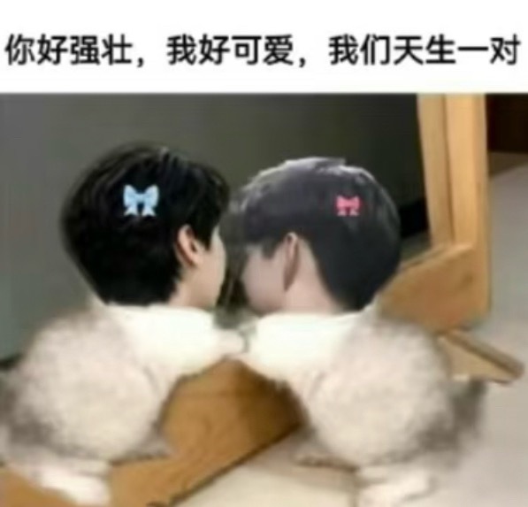 魔镜魔镜告诉我，我是不是世界上膀子最大一拳两个的小猫咪P1 cr.究想发呆 梓渝