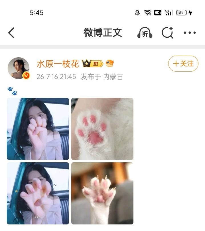 离骚的手长p2那样 