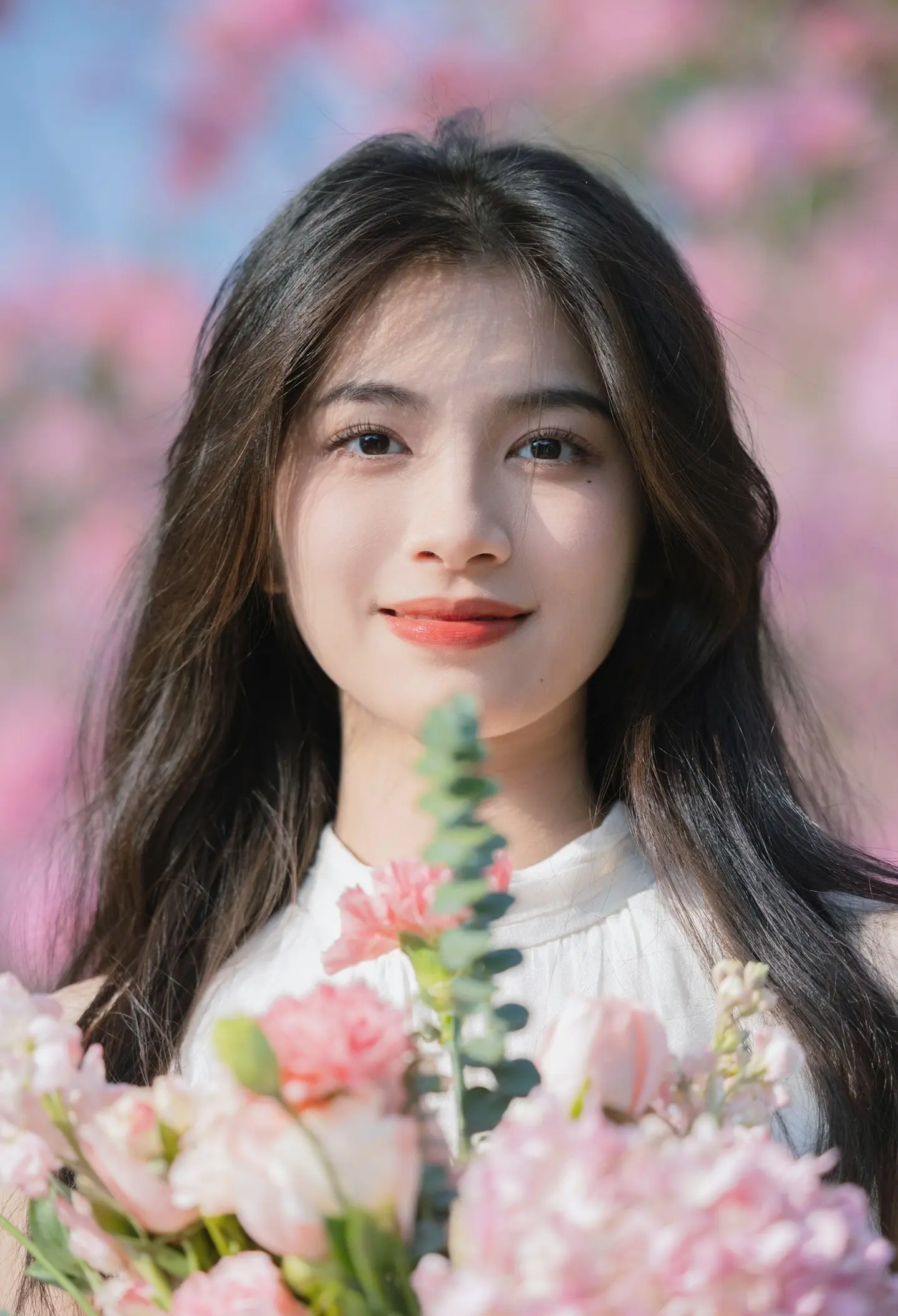 紫花风铃木。