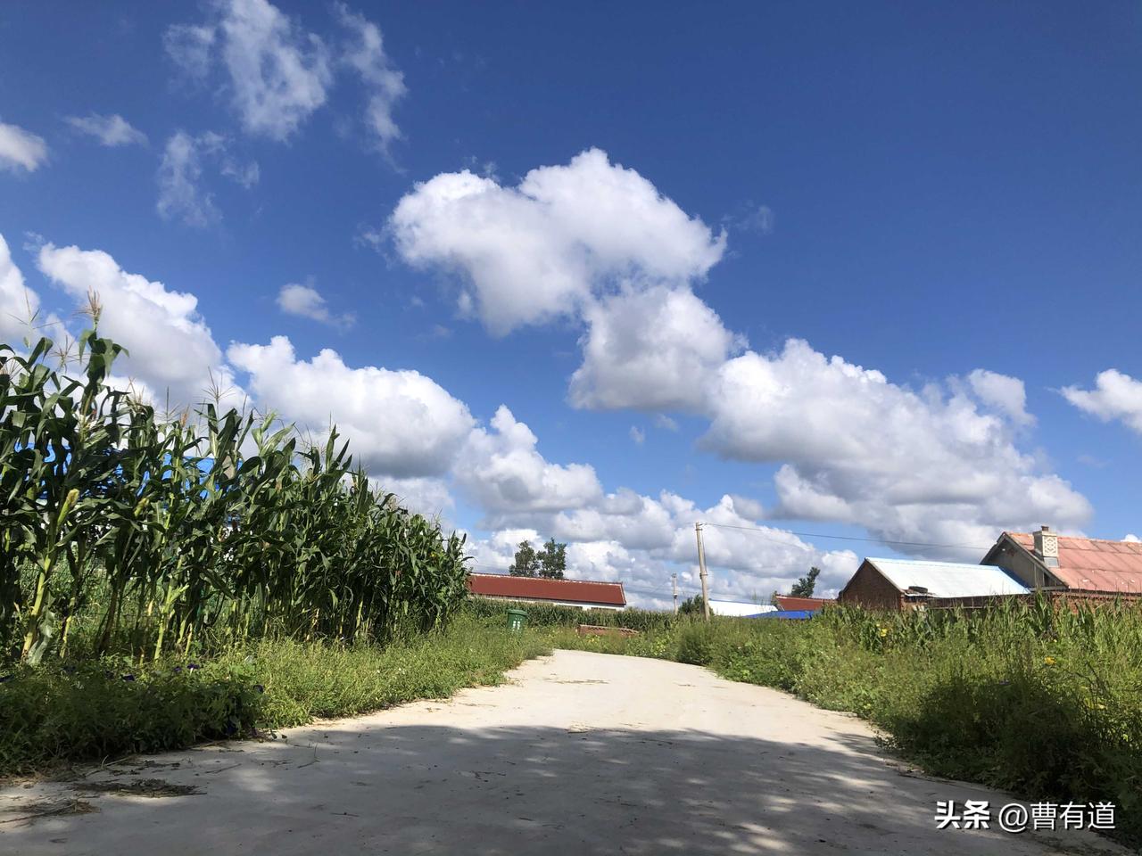 农村景色