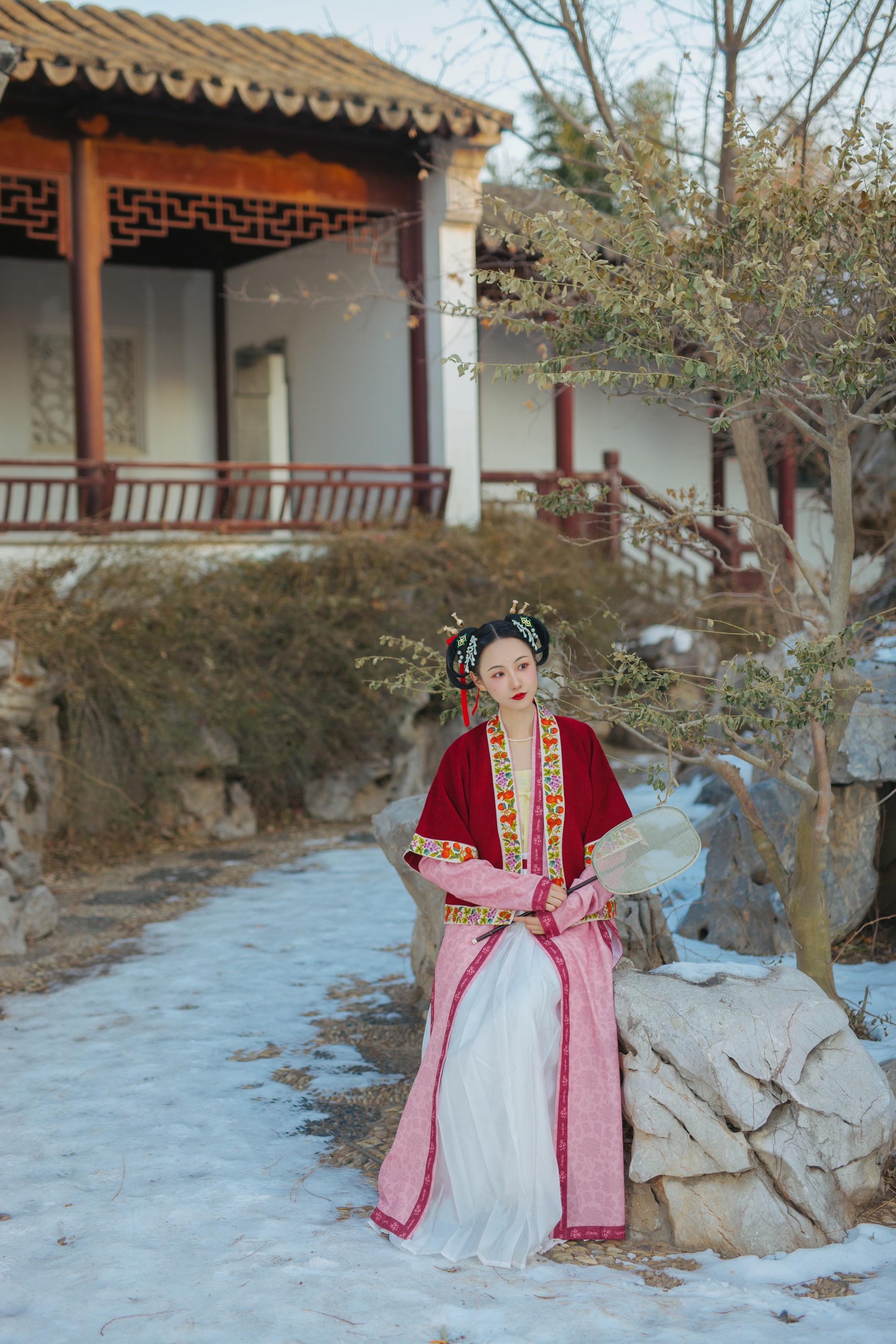 北京初雪｜千年前女子们的层次感穿搭·南宋。✨窄袖长褙子➕貉袖➕百迭裙...