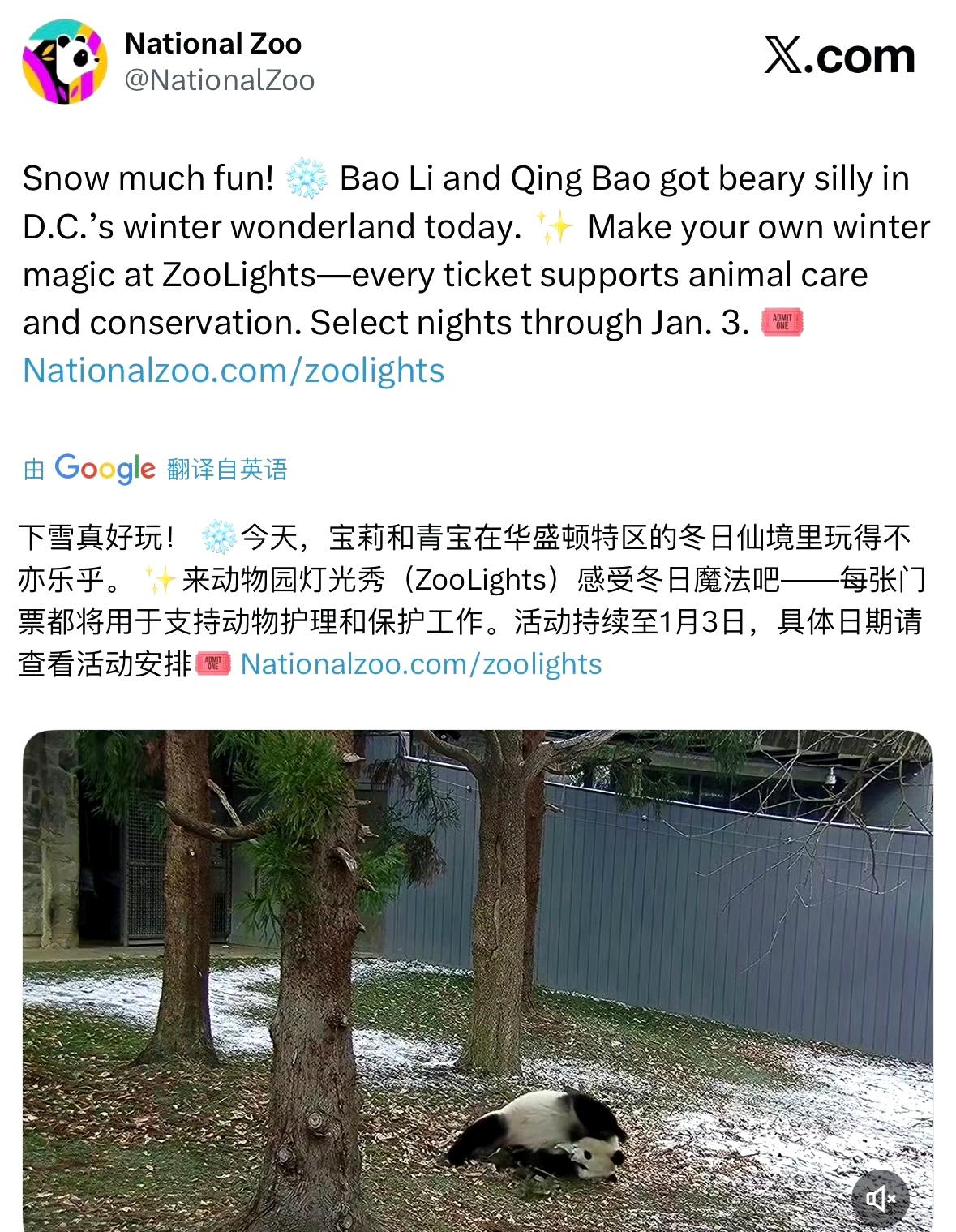 华盛顿国家动物园发布两只大熊猫近况，并以两只熊猫为卖点举行冬季活动。