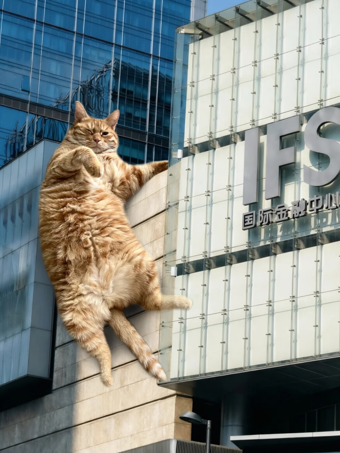 如果，IFS挂的不是熊猫…