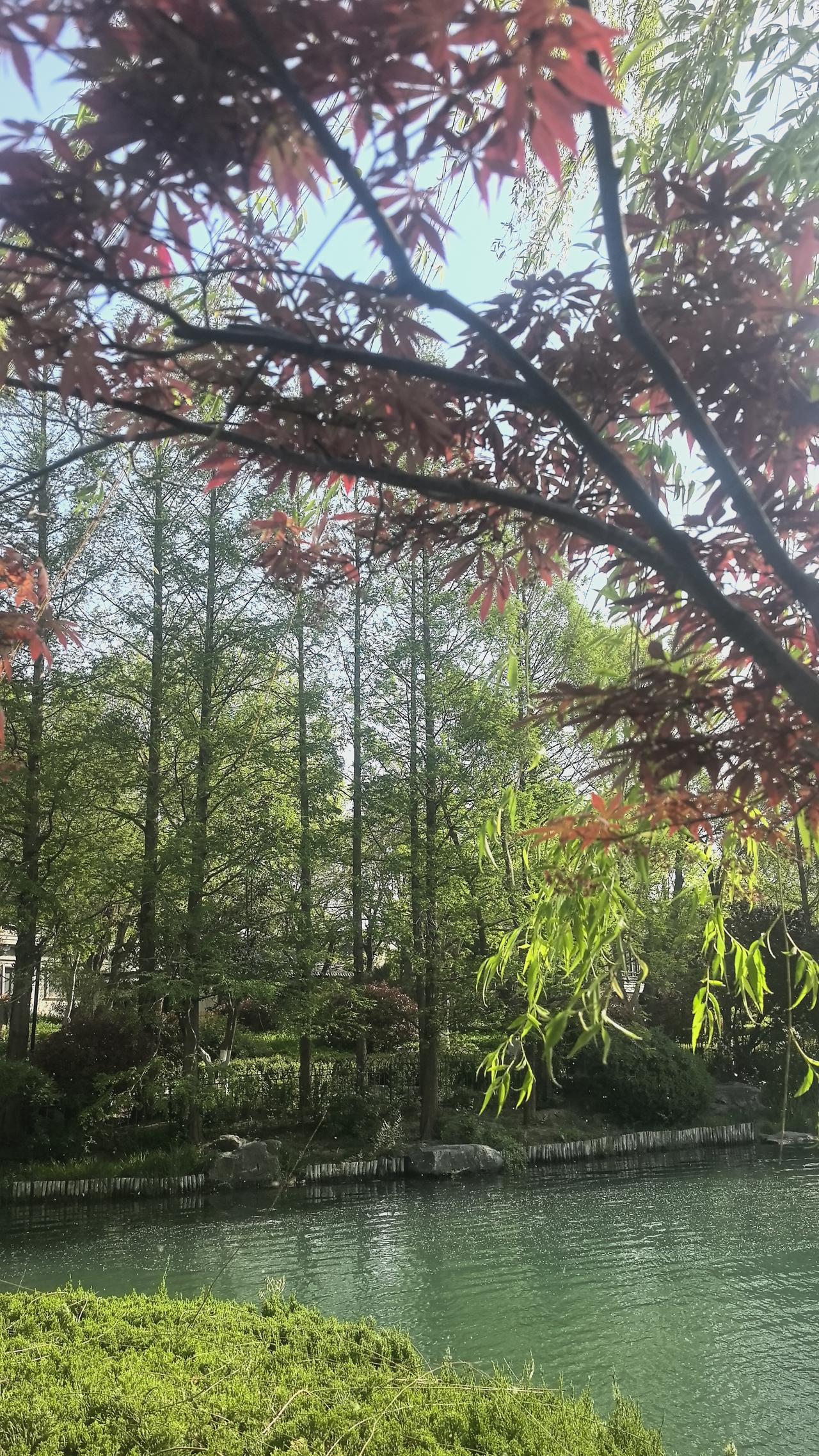 春日即事
弓长先生于大明湖畔清明时节
花红柳绿风轻漾，
云波霞辉映沧浪。
满目春