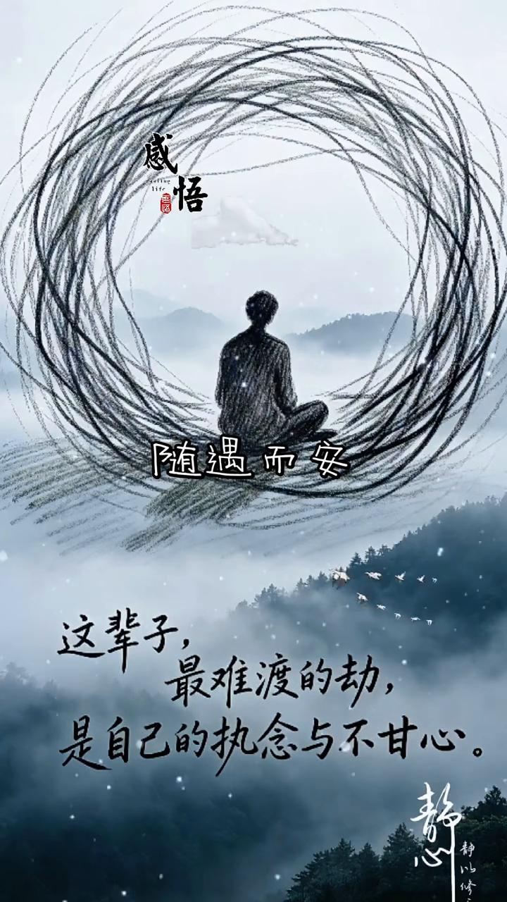 感悟。
随遇而安。这辈子最难渡的劫是自己的执念与不甘心。