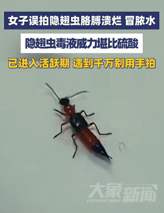 “悲剧还是发生了！”5月29日报道，浙江义乌，一女子见窗边有小虫，随手就给拍死了