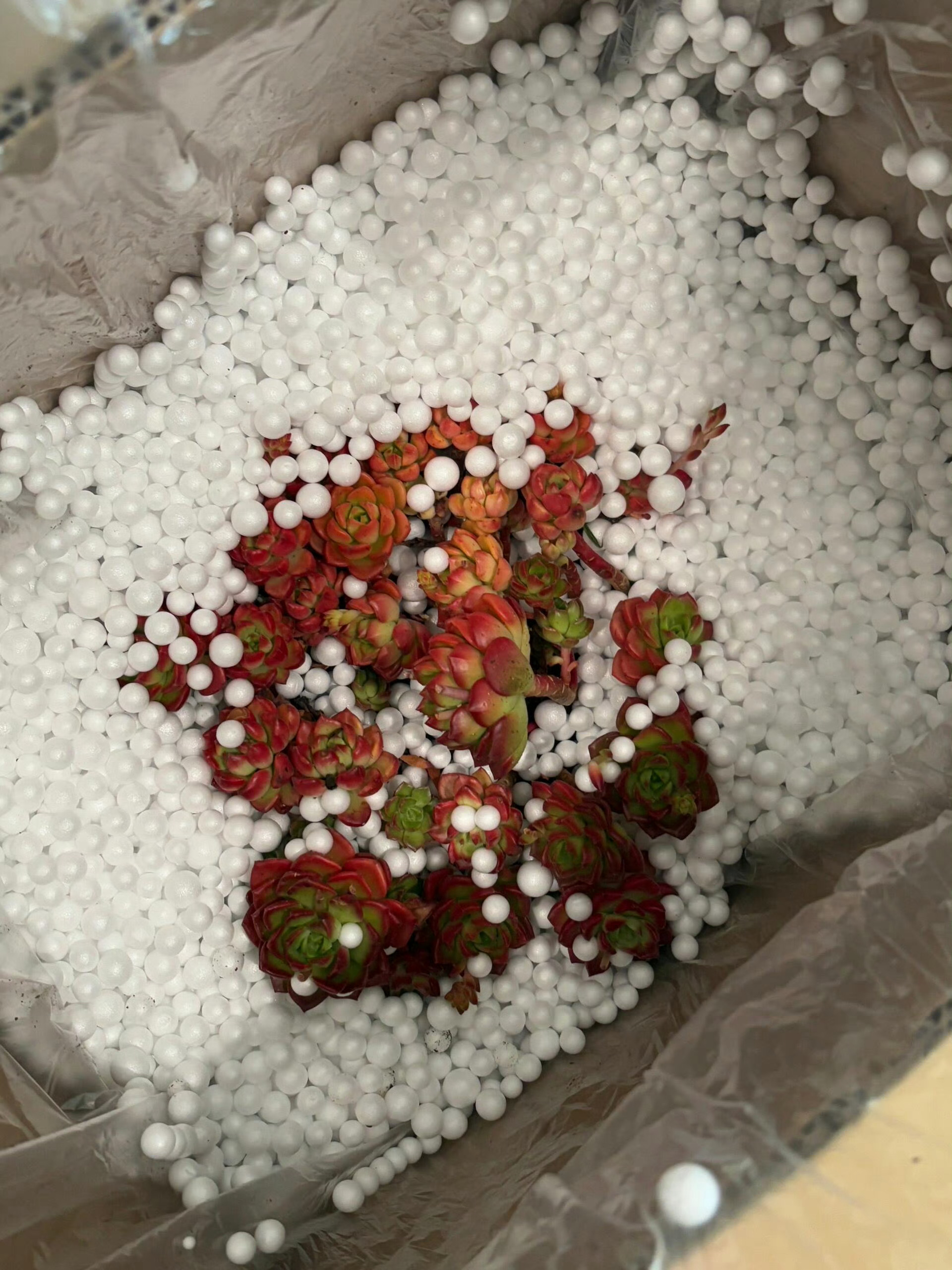 好恶毒的打包方式这种泡沫球最难打扫