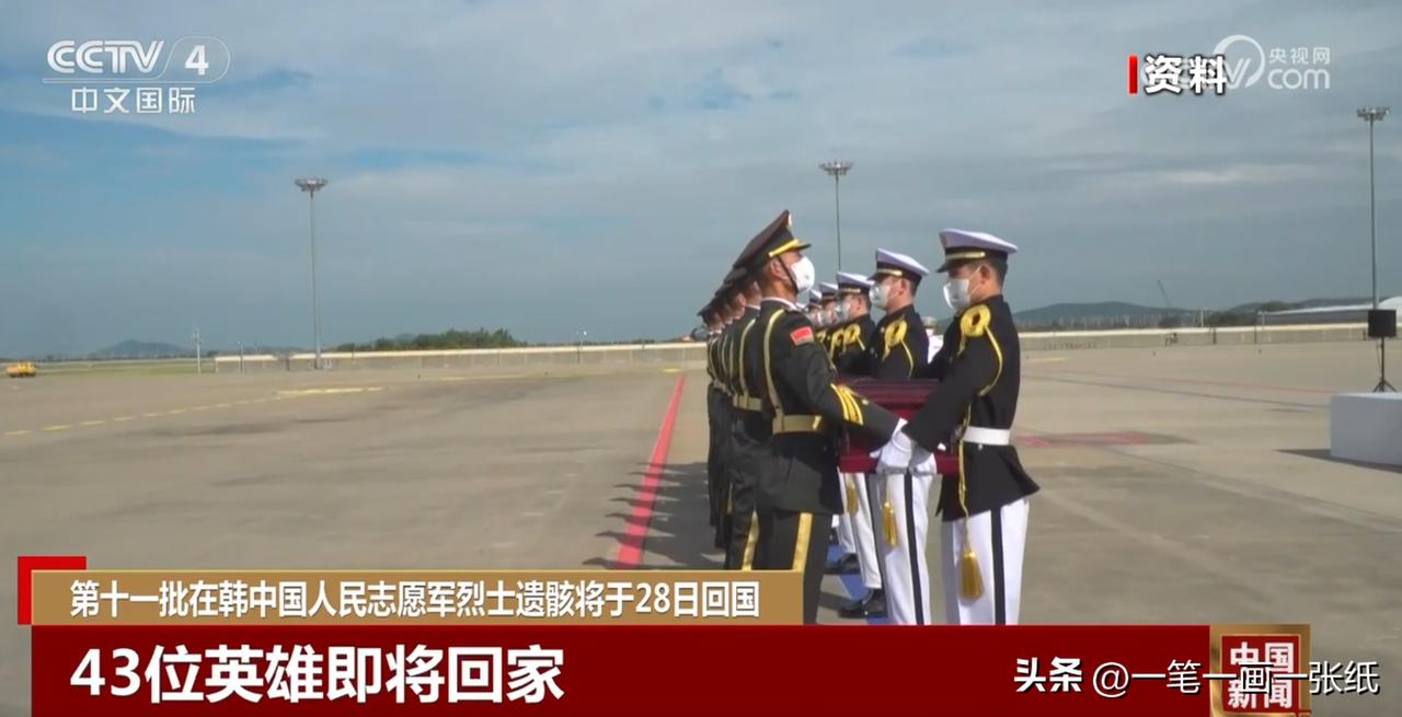 2024年11月28日，43位在韩中国人民志愿军烈士的遗骸回到了祖国的怀抱，带着