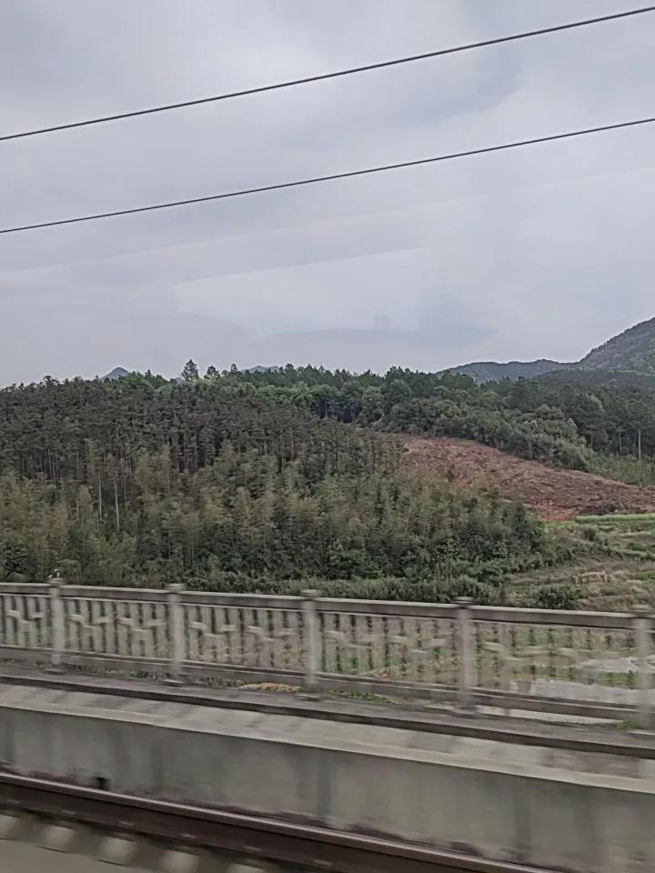 出发→大浙江
听说走运走运，要走出去，运气就会好。近段时间诸事不顺，希望走一下运