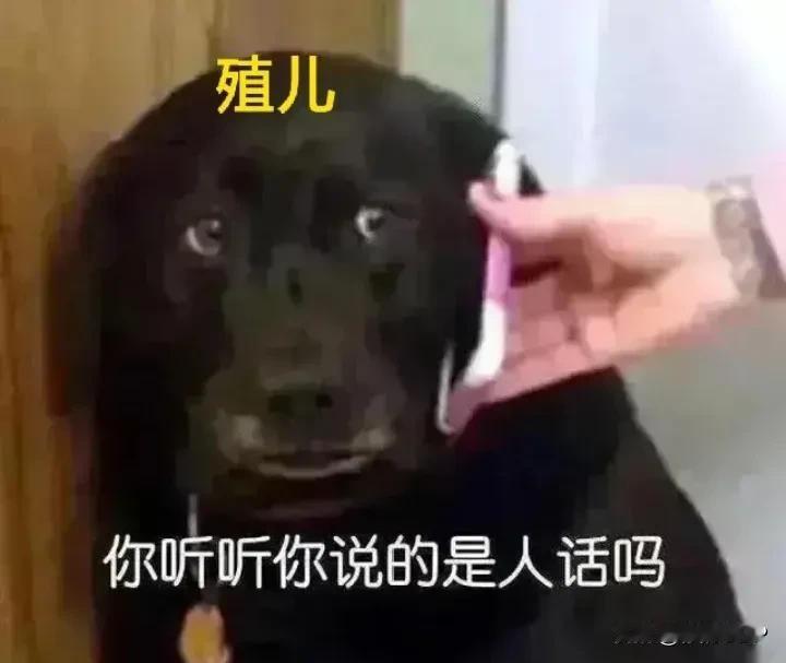 给你评‘……’