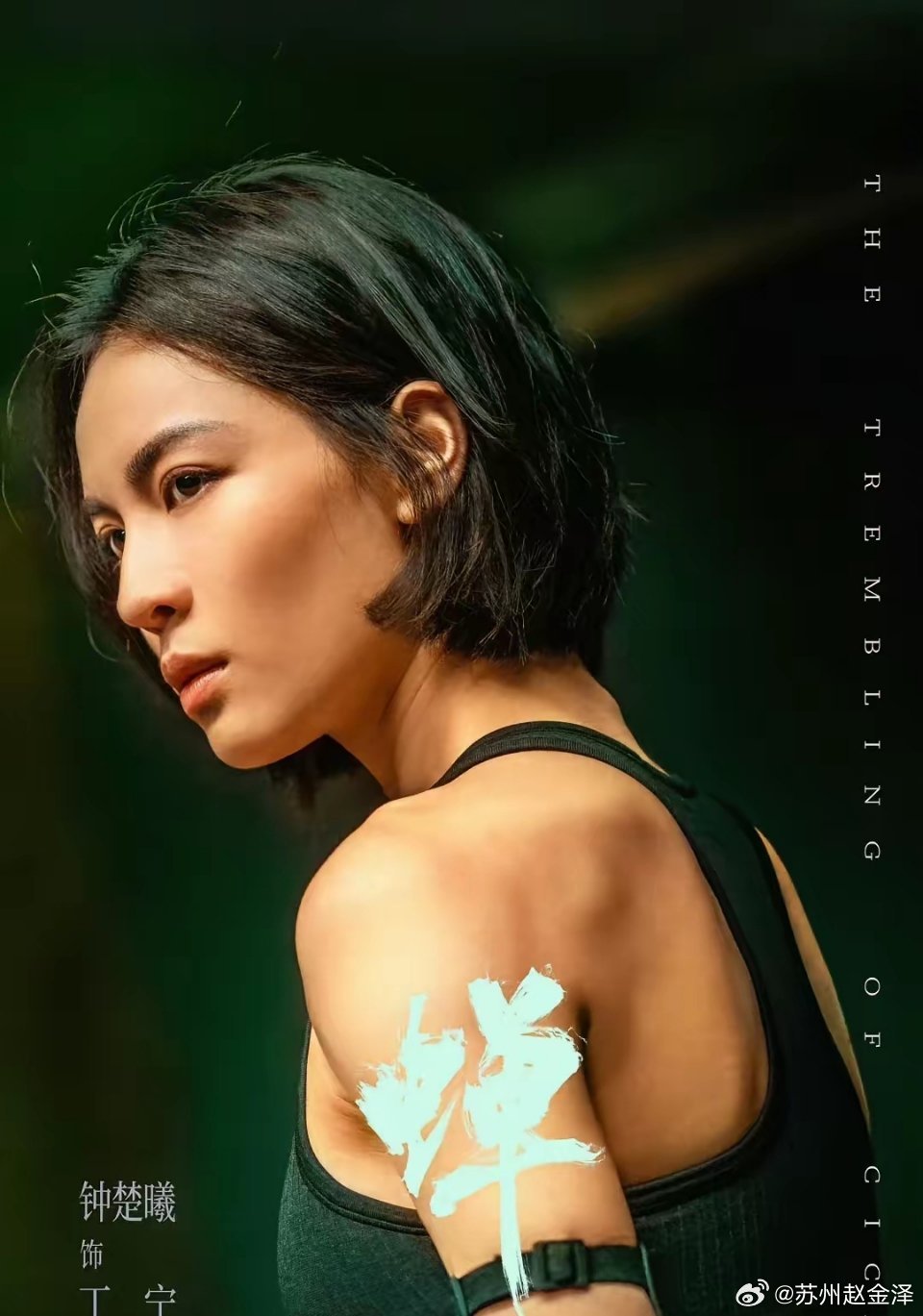 吴镇宇、钟楚曦的《蝉》，节奏实在是太慢了，10集能拍完的非要拍21集。看到吴镇宇