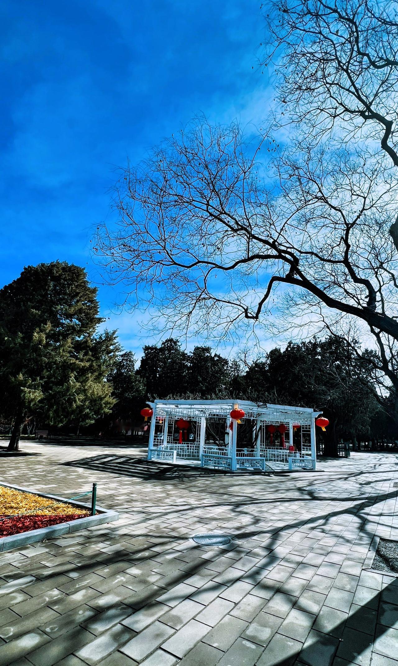 打卡北京中山公园