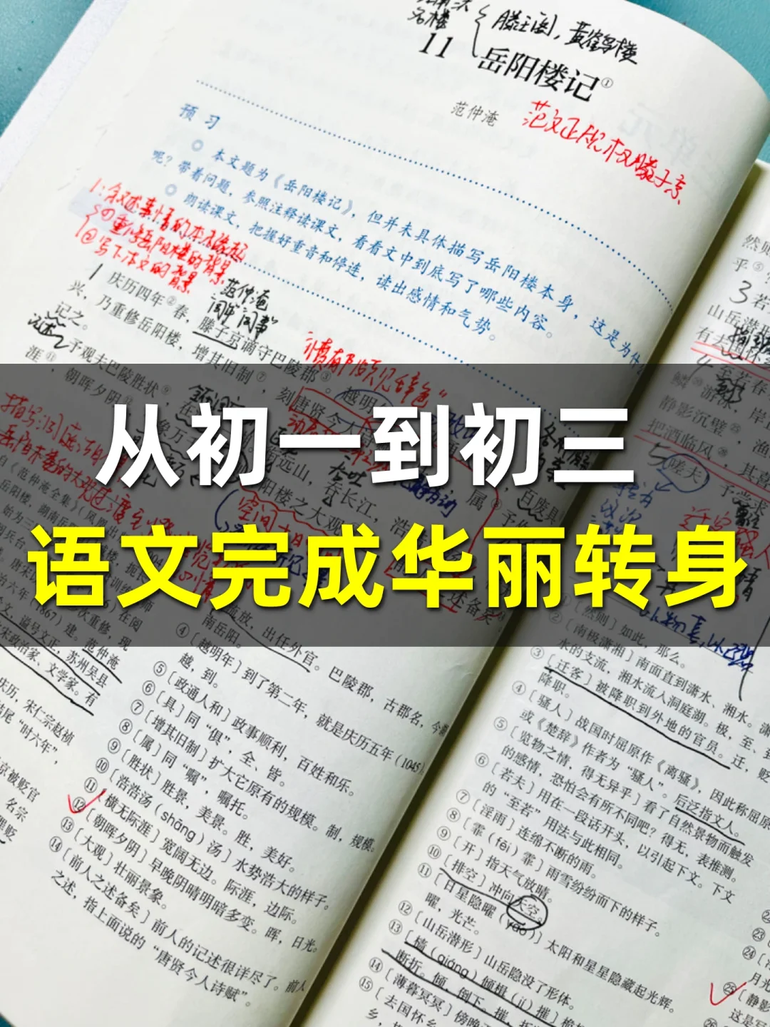期中落幕，语文华丽转身变王炸｜独家分享❤️