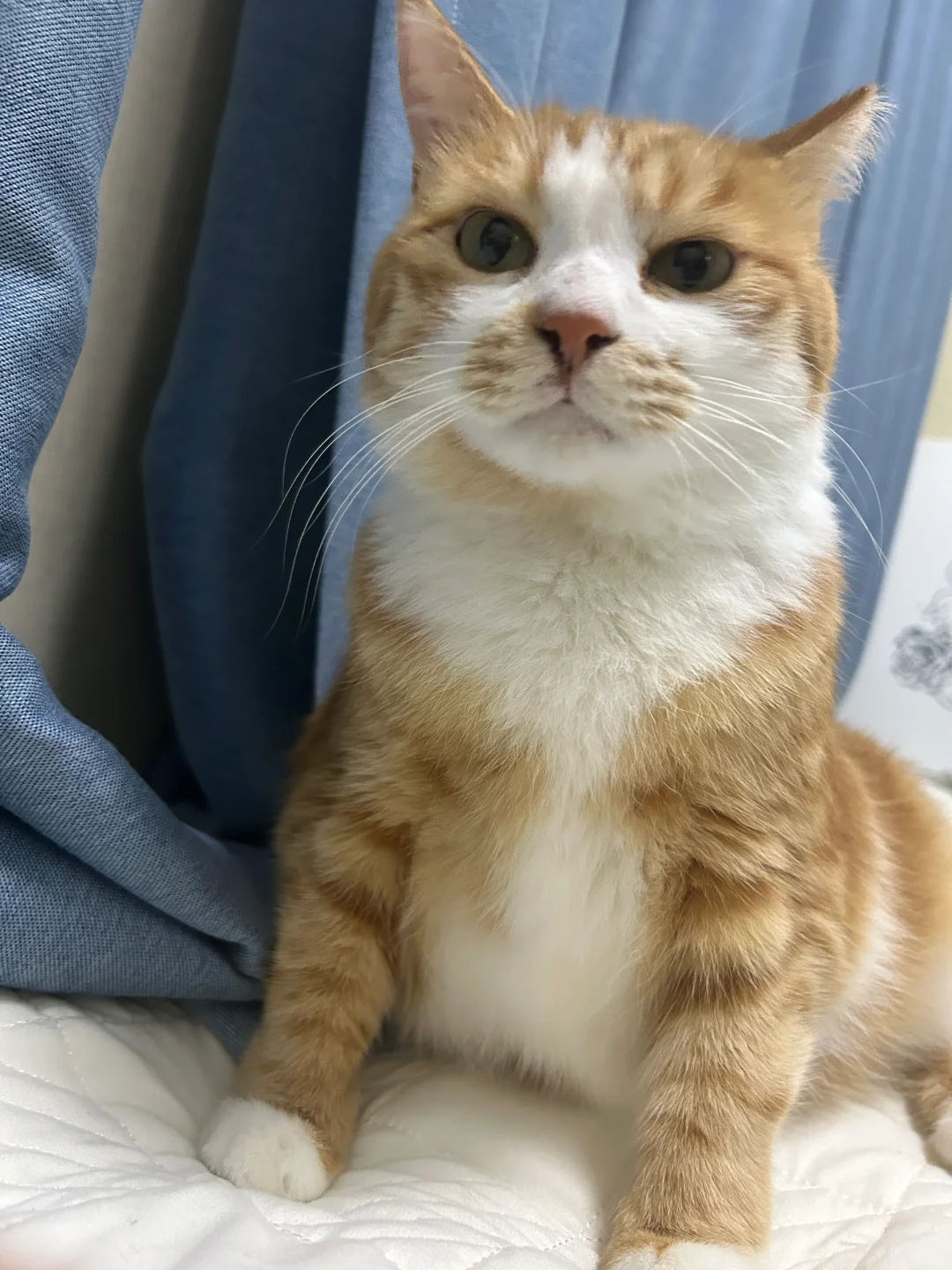 立正！向右看齐！向前看！