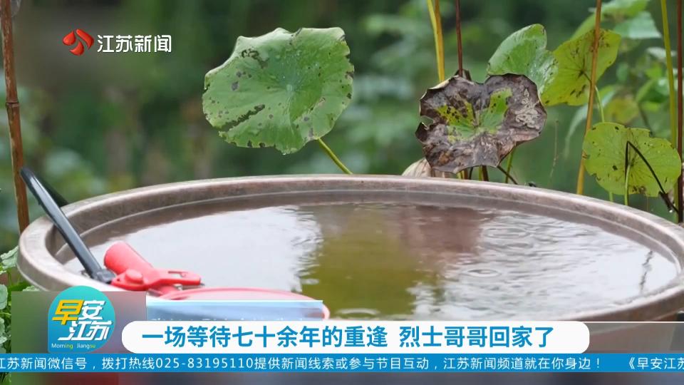 一场等待七十余年的重逢 烈士哥哥回家了