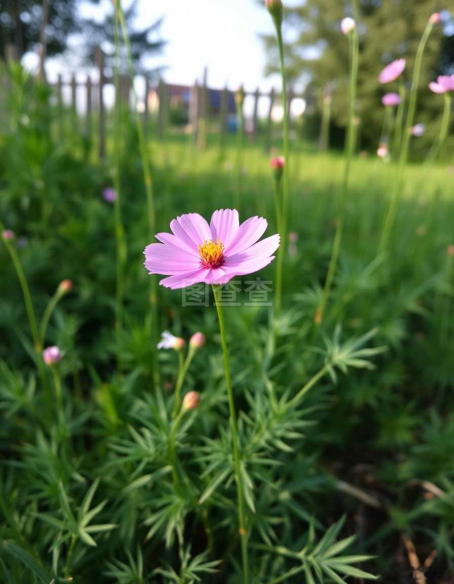 今日分享：来自内蒙滕老师       修行从不在高山远寺，而在柴米油盐的琐碎里，