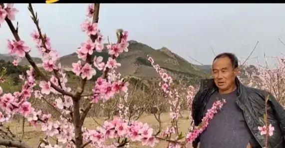 真心话茶局你赏桃花我种春。