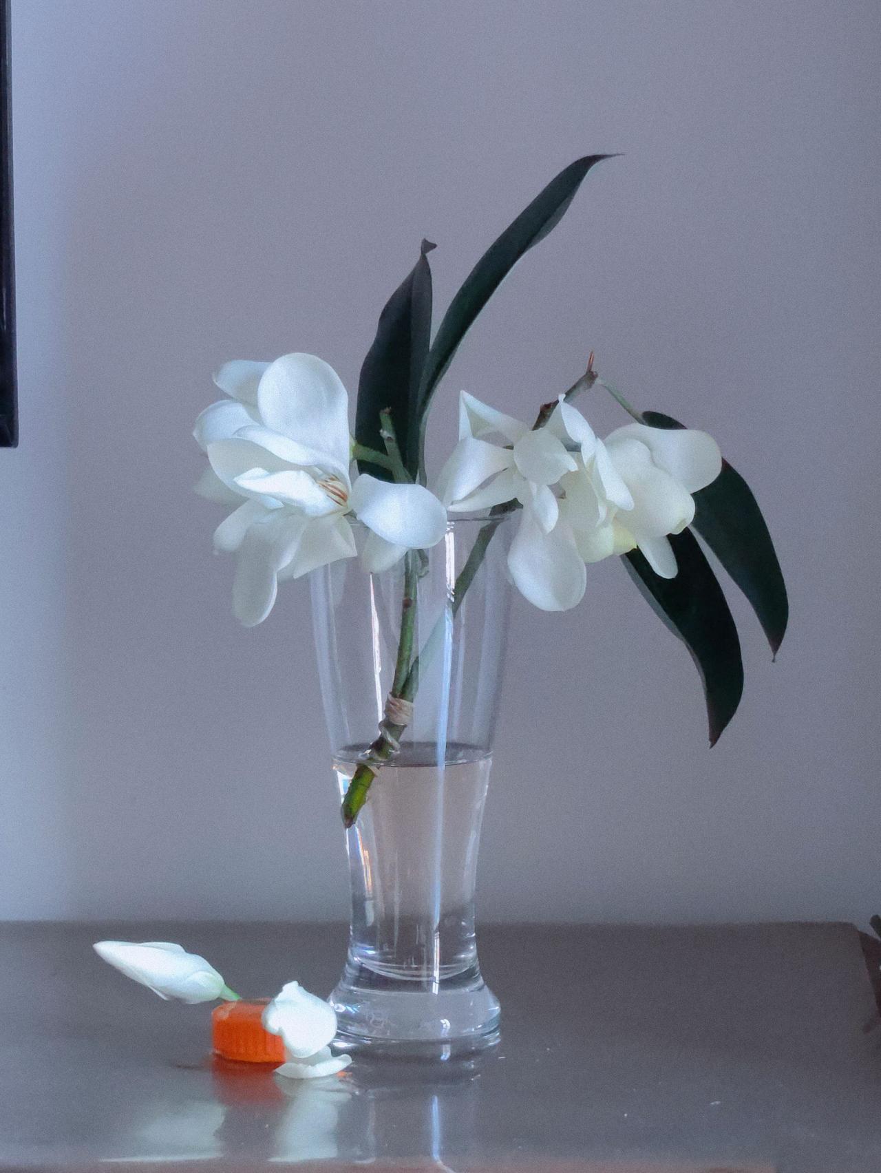 静物摄影 爱拍照爱生活