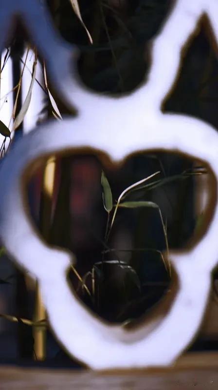 人生皆有选择权，只是怯于直面本心
 
      中国人向来偏爱稳妥，惧怕未知代