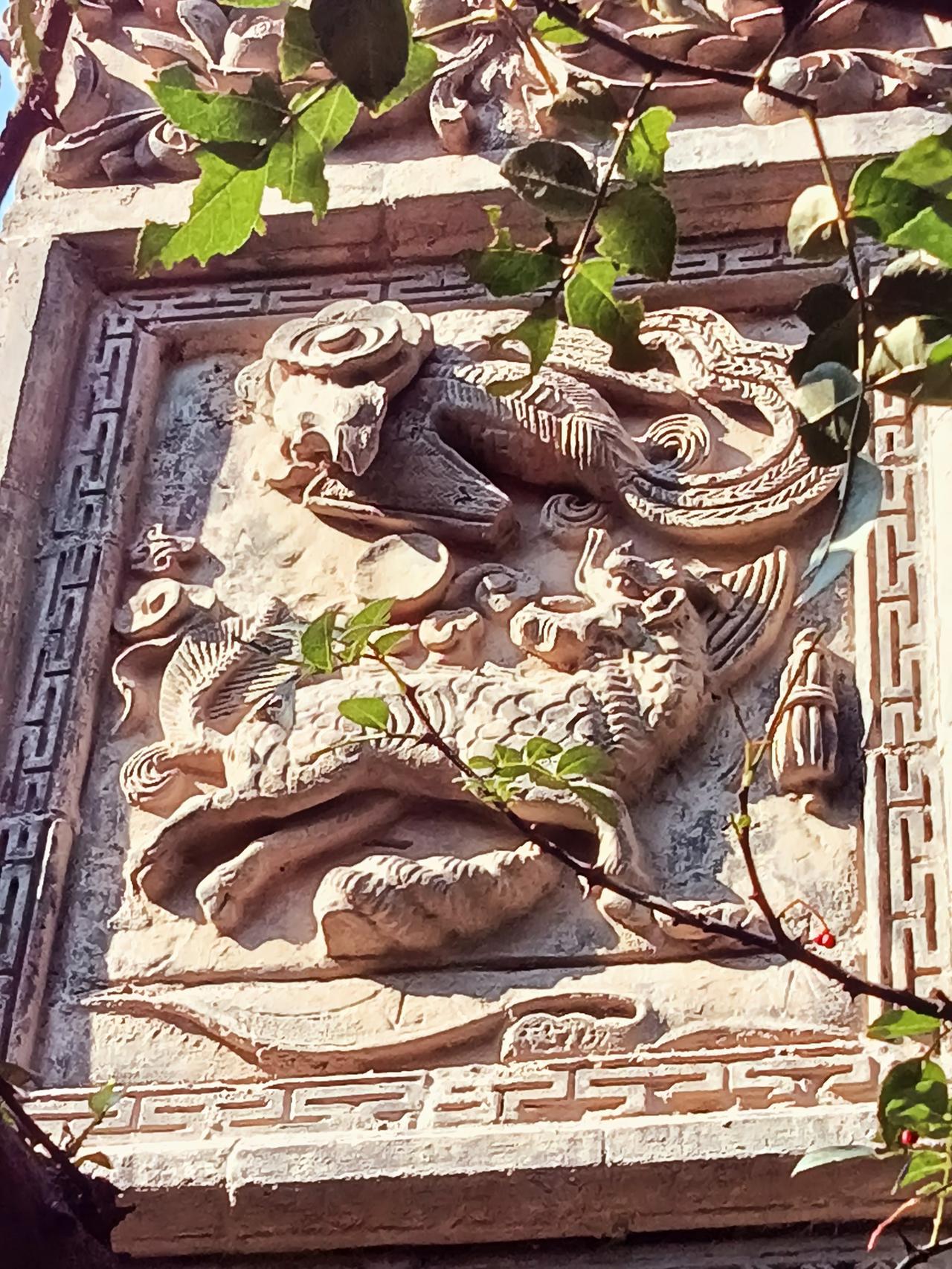 大兴善寺之赐福猫咪