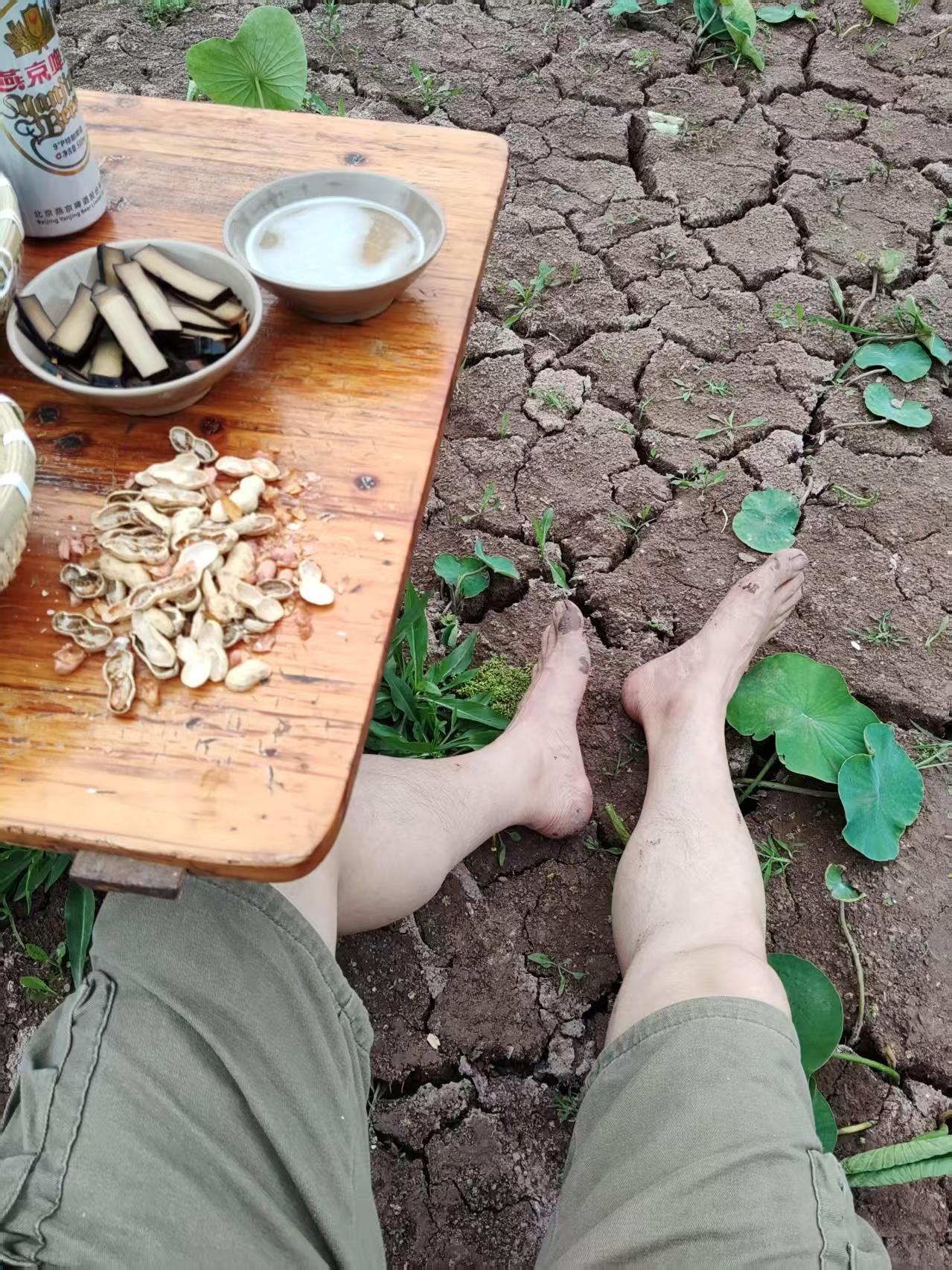 浣溪沙·农家消暑趣
〔当代〕邹謇

藤蔓森森绕浅溪。庭前径径绿初齐。乱蝉噪处鹭频