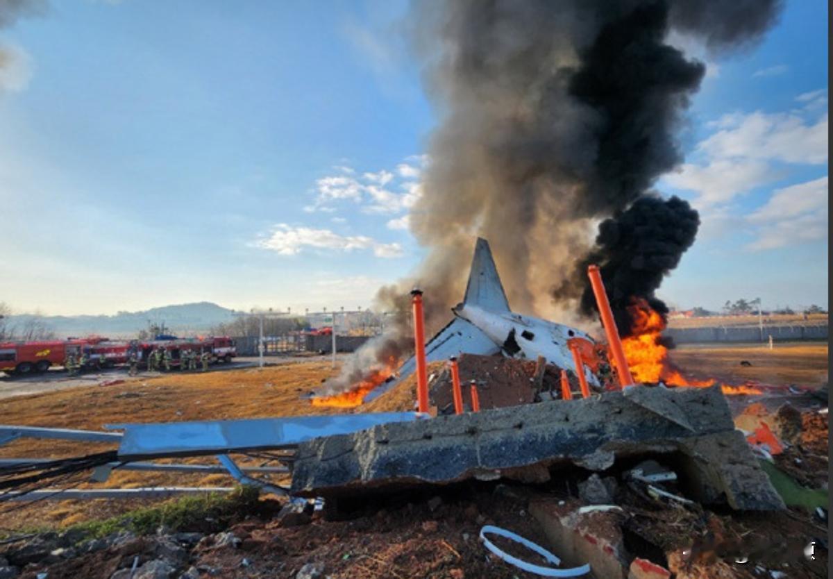 死亡名单曝光！韩国航班落地后发生剧烈爆炸，整舱181人只有2人生还，一家9口惨遭