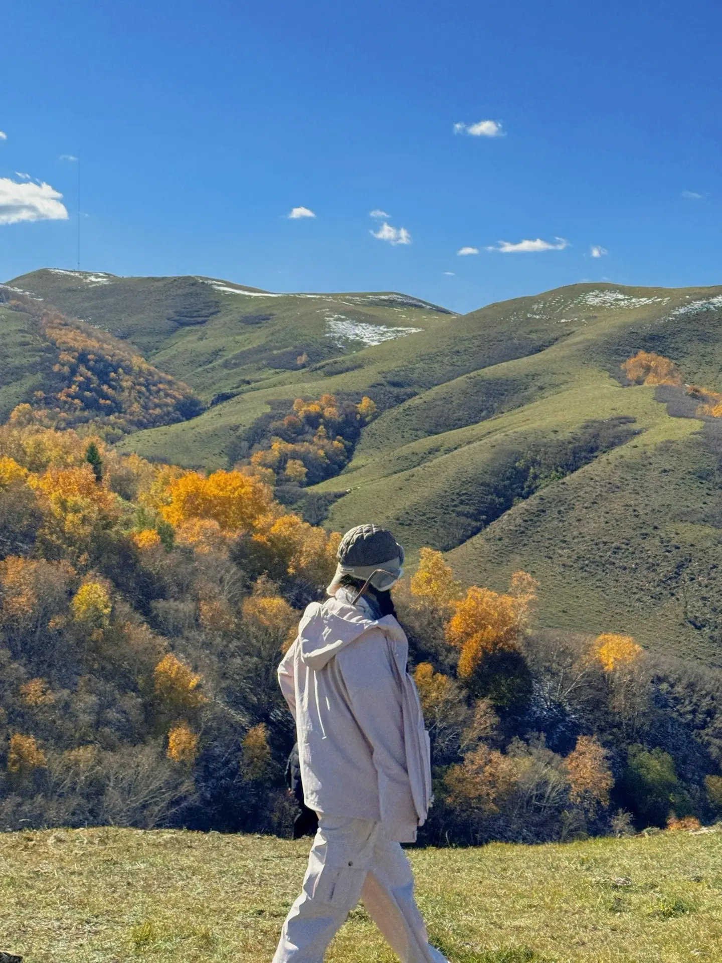 喜欢在路上的一切惊喜