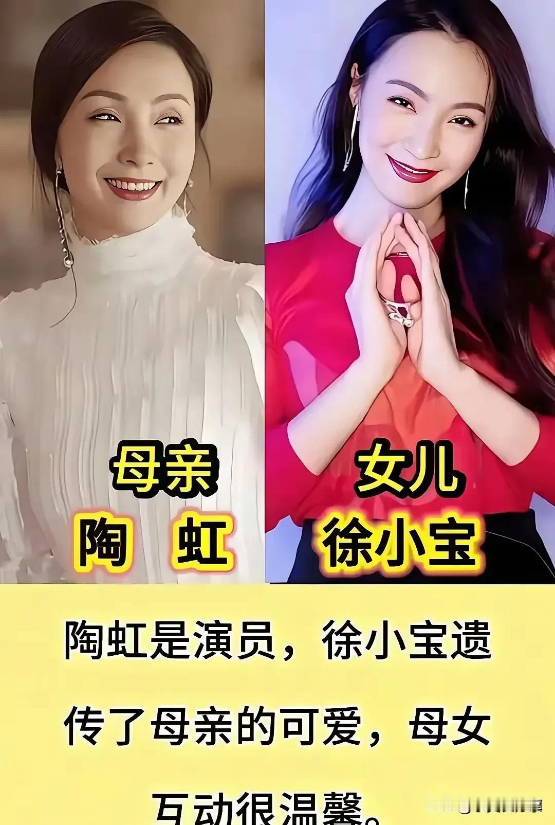 他们是同一株植物上的两朵花——
妈妈是根，扎在土里几十年的养分，全给了枝头那朵新