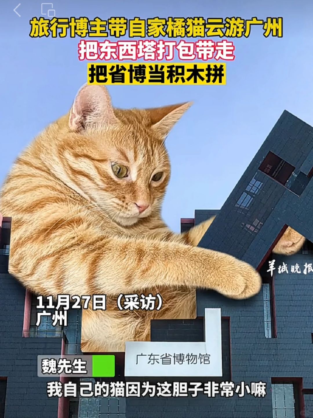 喜讯：大海🍊登上羊城晚报视频号啦～