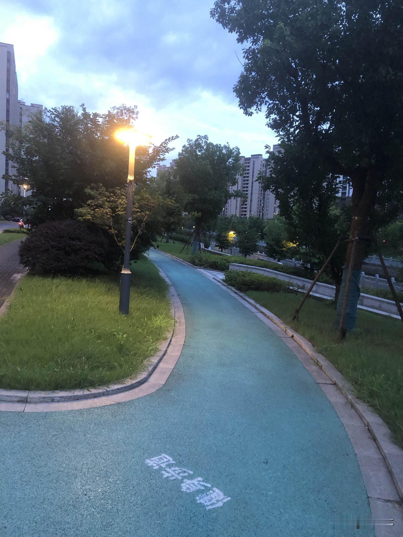 夏日生活打卡季昨天雨后傍晚出门散步打卡夏日晚风，天刚擦上一层温柔的蓝色，路边路灯