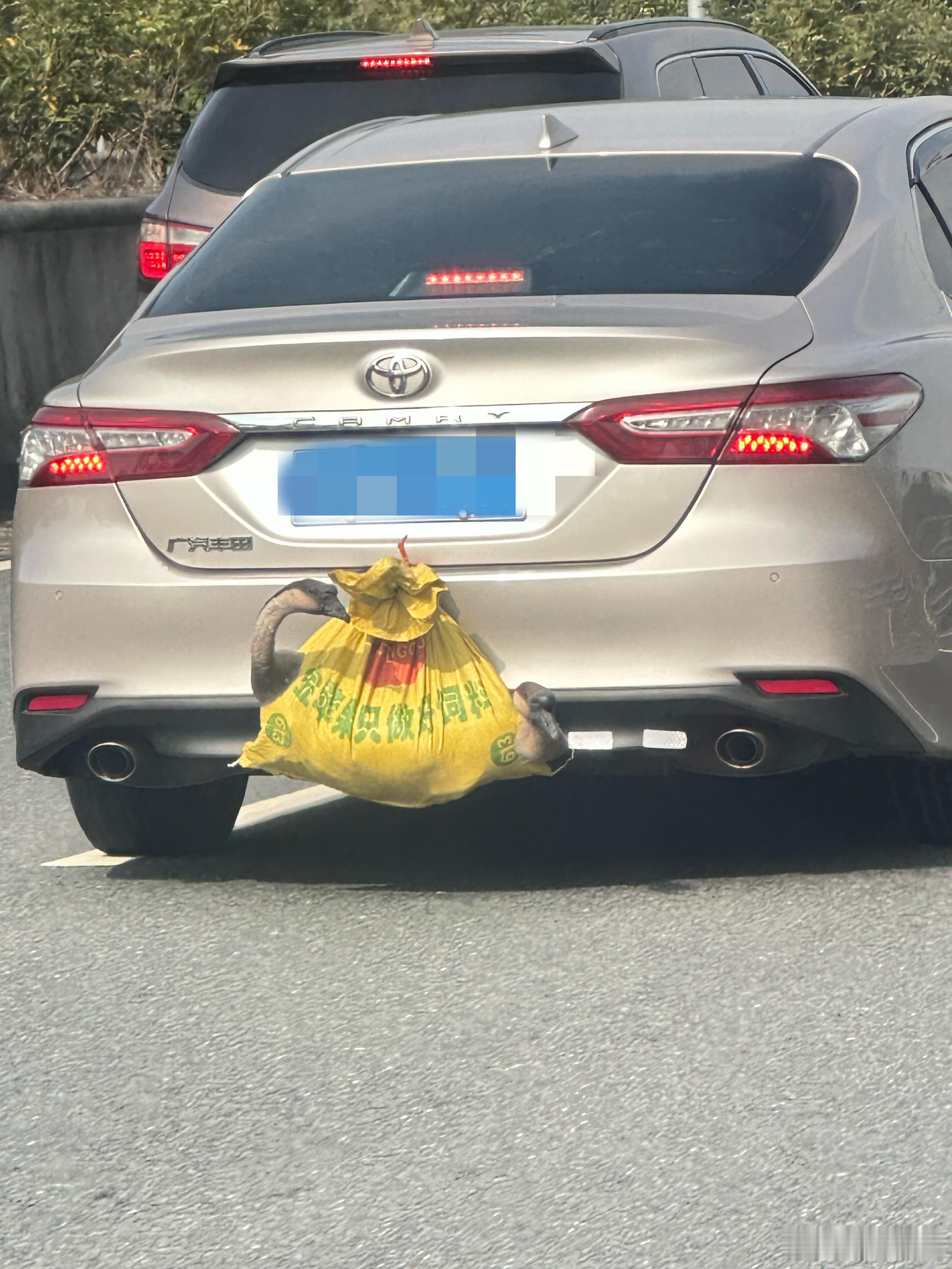 也是让我真实的看到了！看似是“带点年货”，实则存在安全风险