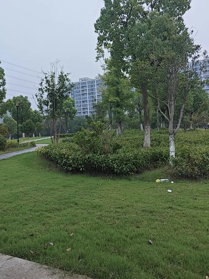 养生最大的盲区：补品再好，抵不住坏情绪持续消耗
 
很多人养生只盯着吃和动。
舍