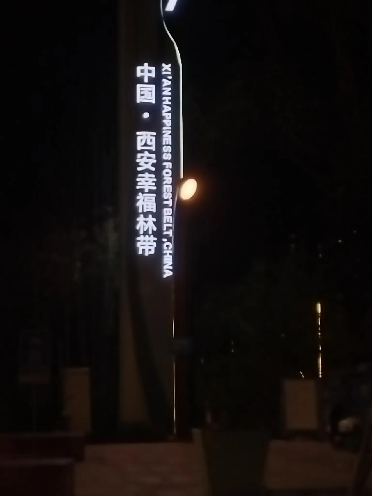 深秋夜晚的幸福林带