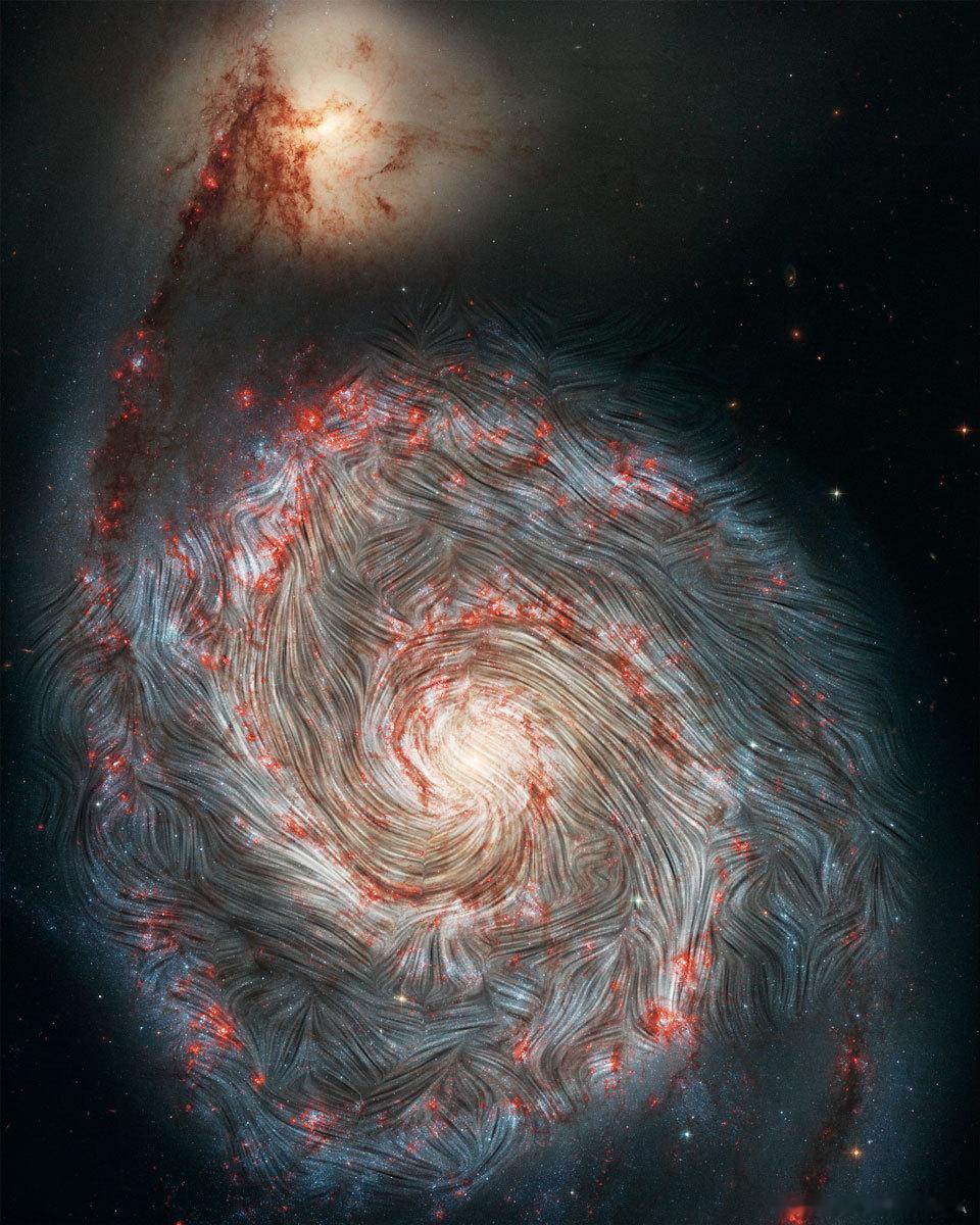 #每天一天文图# 涡状星系的磁场[酷] ​​​