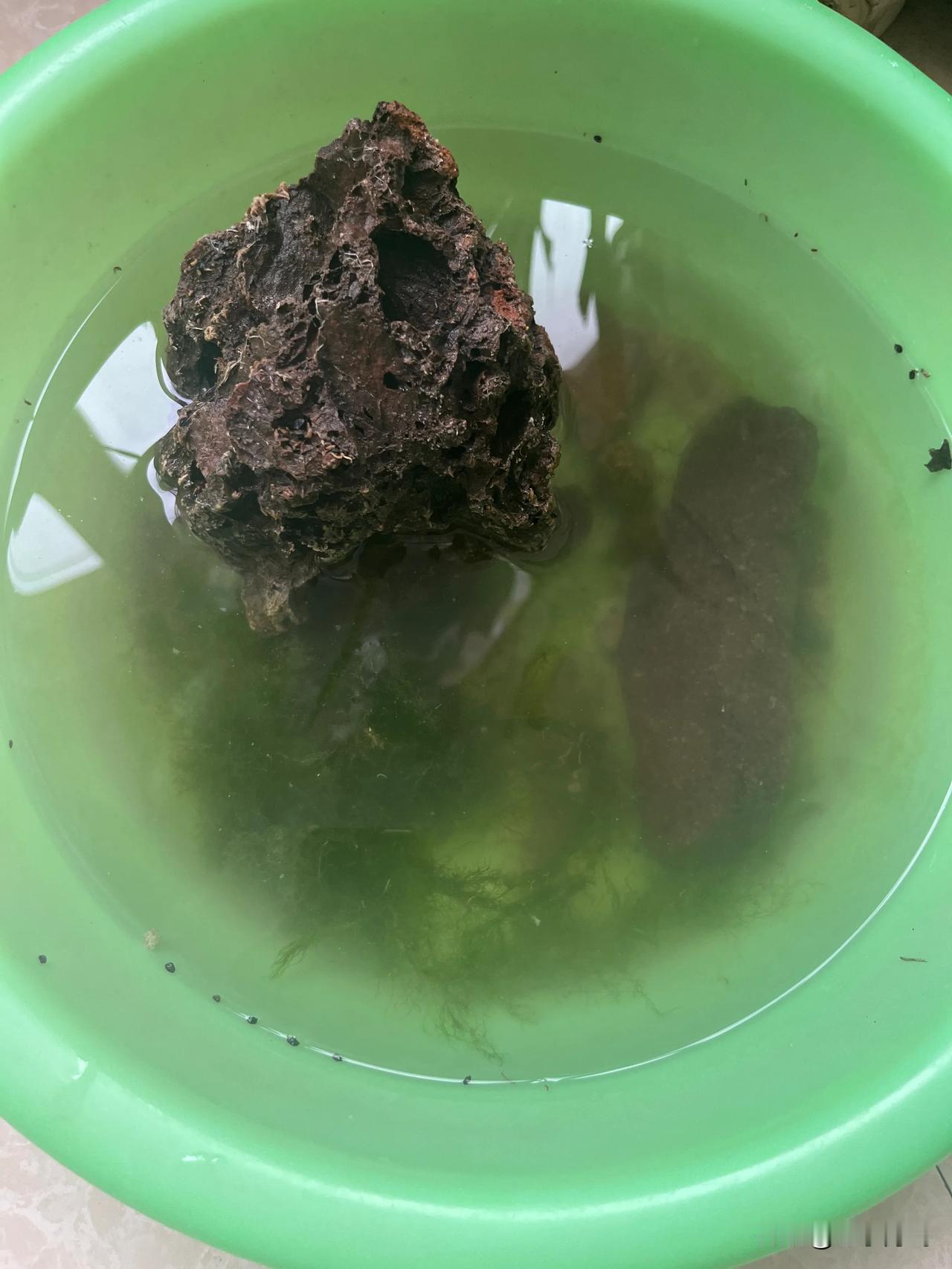  在什么环境下生存就让它们继续下去，不能去干涉它们的生活，如果强行给改变生存环境