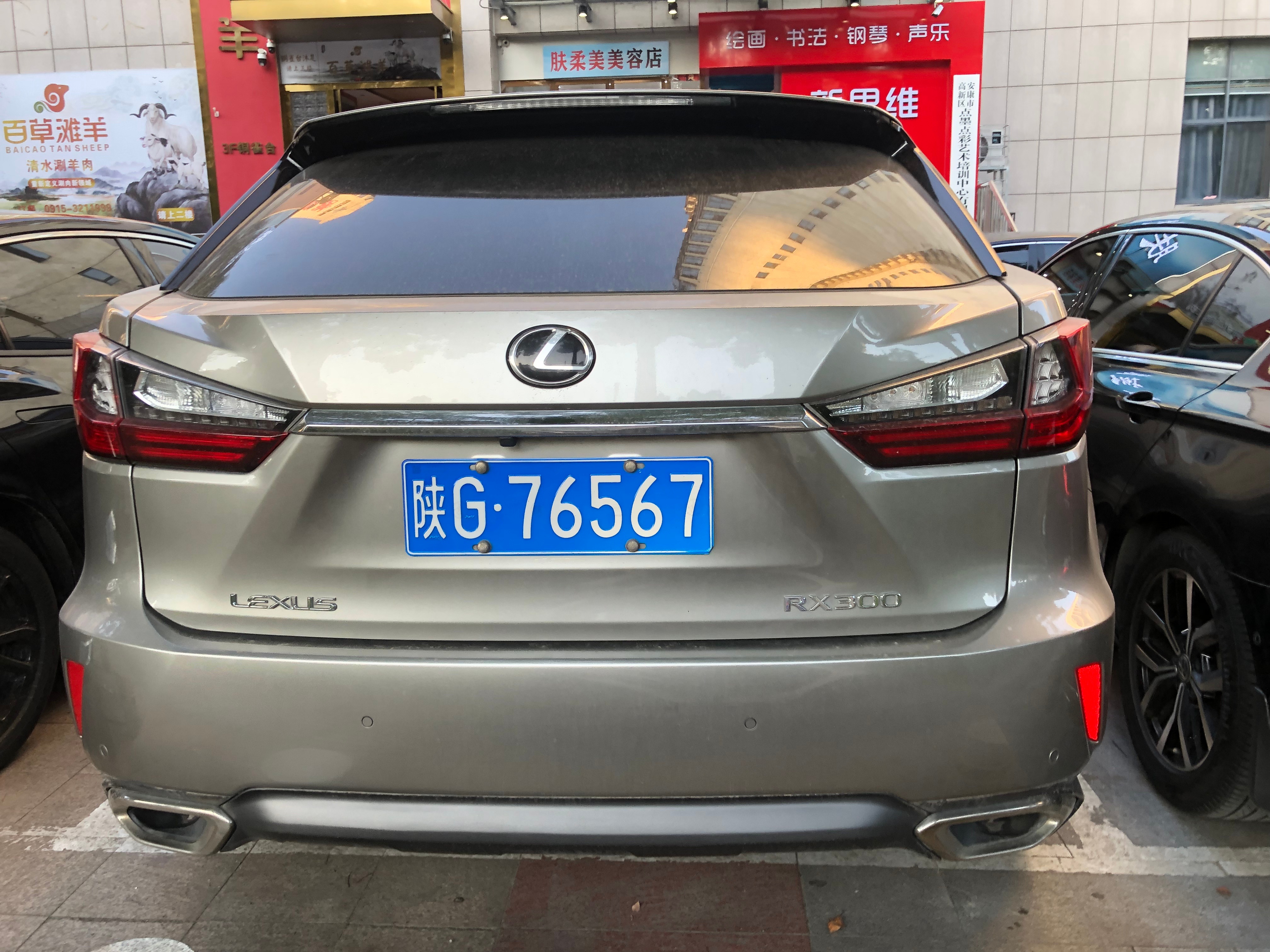 全球车牌 陕我G76567雷克萨斯RX300 安康