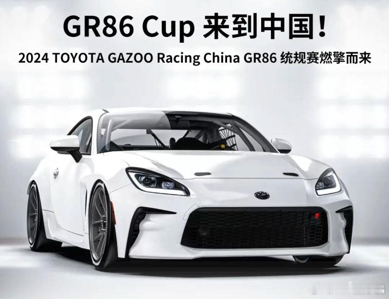 假设投入的时间和金钱基本一样（一年6~8个周末，总花费50万左右），你会选择：A