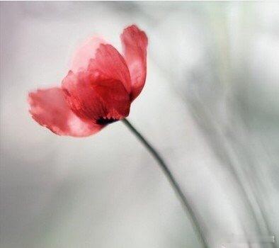 The so-called whole life, just a blank s