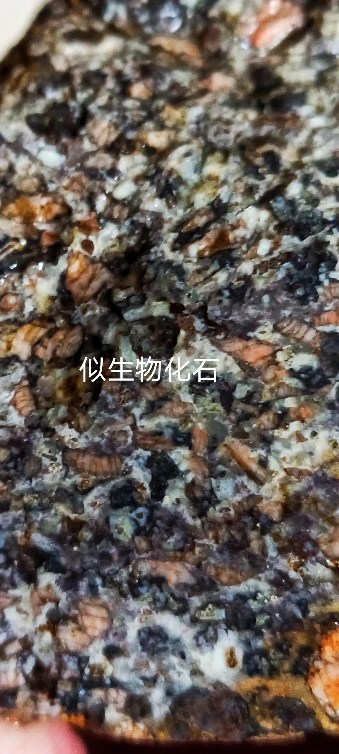 分享一块陨石里的生物化石，非常罕见的，具有科研价值。