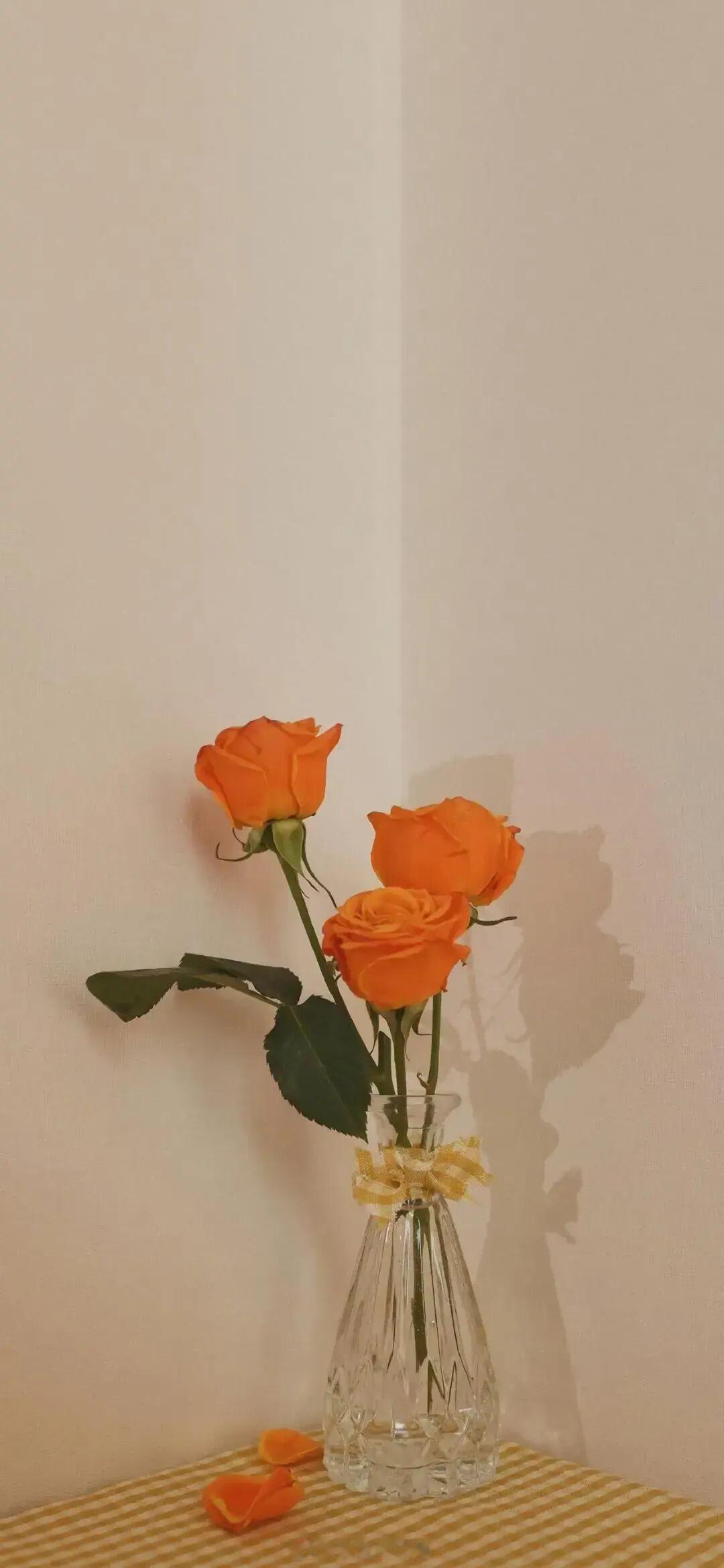 世界正在我眼前自行展开，我觉得我能去任何地方，做任何事情，成为任何人。——玛丽·